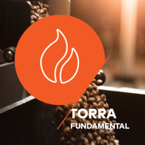 Torra <br> Fundamental