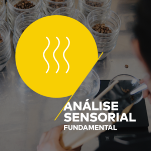 Análise Sensorial <br>Fundamental